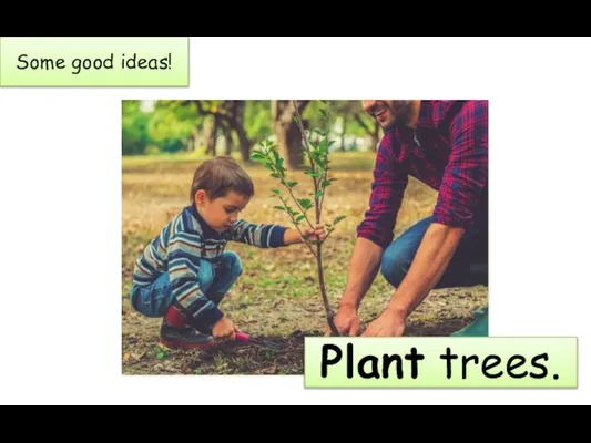 Some good ideas! Plant trees.