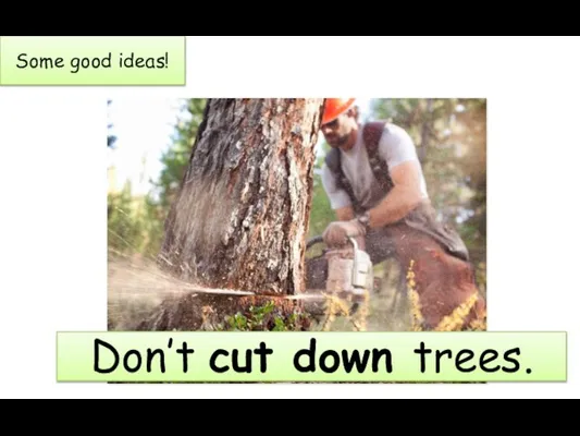 Some good ideas! Don’t cut down trees.