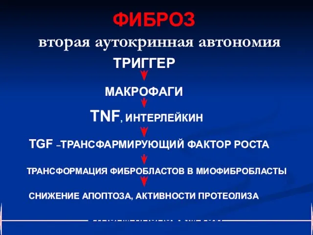 ФИБРОЗ TGF –ТРАНСФАРМИРУЮЩИЙ ФАКТОР РОСТА ТРАНСФОРМАЦИЯ ФИБРОБЛАСТОВ В МИОФИБРОБЛАСТЫ TNF, ИНТЕРЛЕЙКИН МАКРОФАГИ