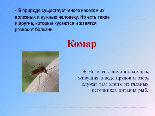 - В природе существует много насекомых полезных и нужных человеку. Но есть