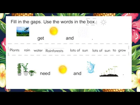 Fill in the gaps. Use the words in the box. get and . need and .