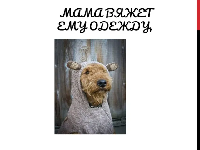 МАМА ВЯЖЕТ ЕМУ ОДЕЖДУ,