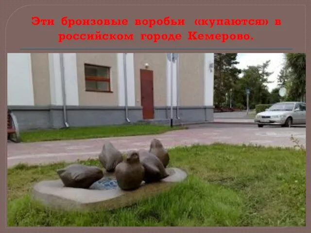 Эти бронзовые воробьи «купаются» в российском городе Кемерово.