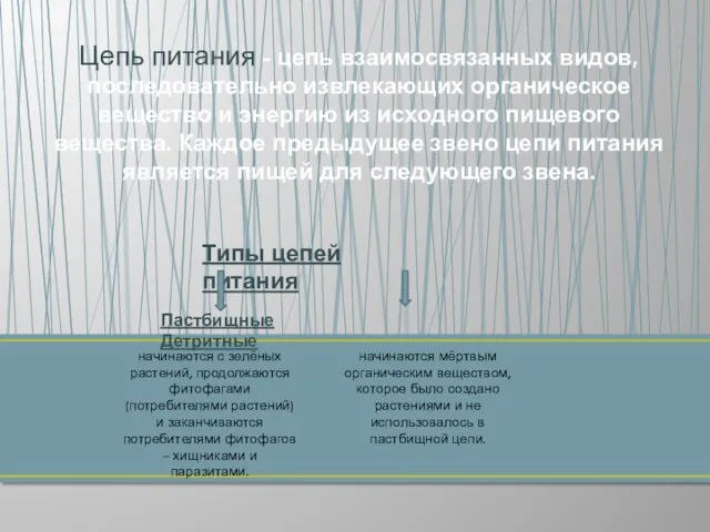 Цепь питания - цепь взаимосвязанных видов, последовательно извлекающих органическое вещество и энергию