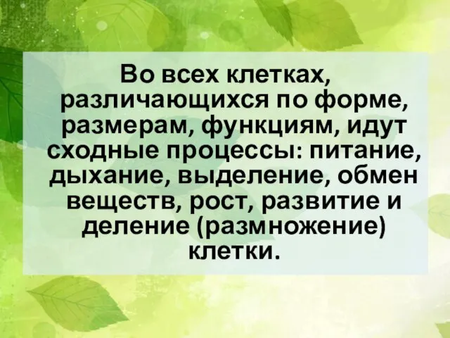 Во всех клетках, различающихся по форме, размерам, функциям, идут сходные процессы: питание,