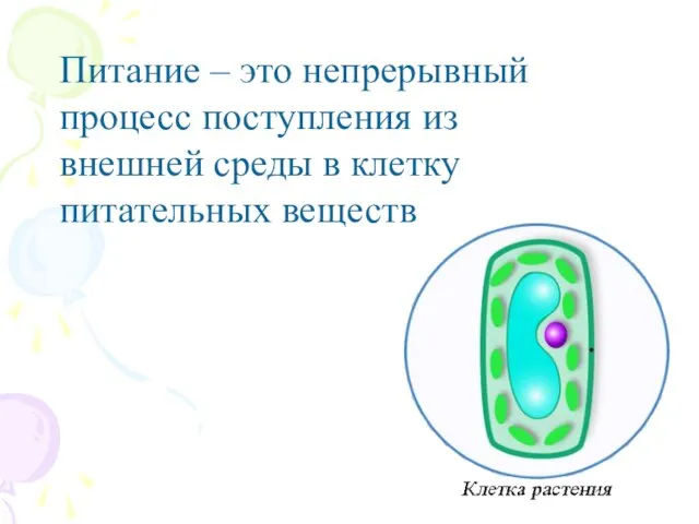 Питание – это непрерывный процесс поступления из внешней среды в клетку питательных веществ