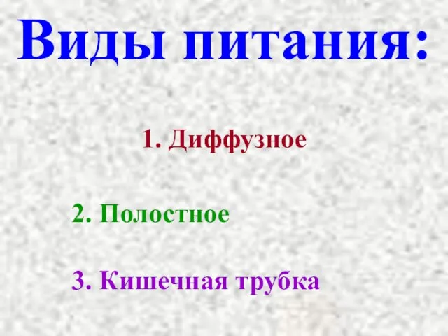 Виды питания: 1. Диффузное 2. Полостное 3. Кишечная трубка