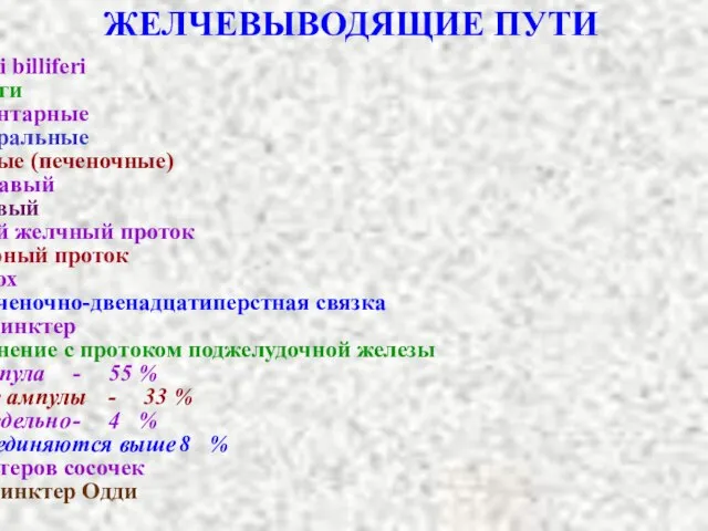 ЖЕЛЧЕВЫВОДЯЩИЕ ПУТИ Ductuli billiferi Холанги Сегментарные Секторальные Долевые (печеночные) - Правый Левый