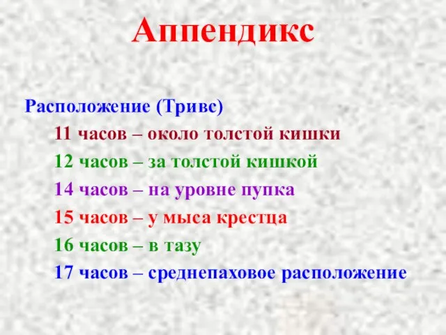 Аппендикс Расположение (Тривс) 11 часов – около толстой кишки 12 часов –