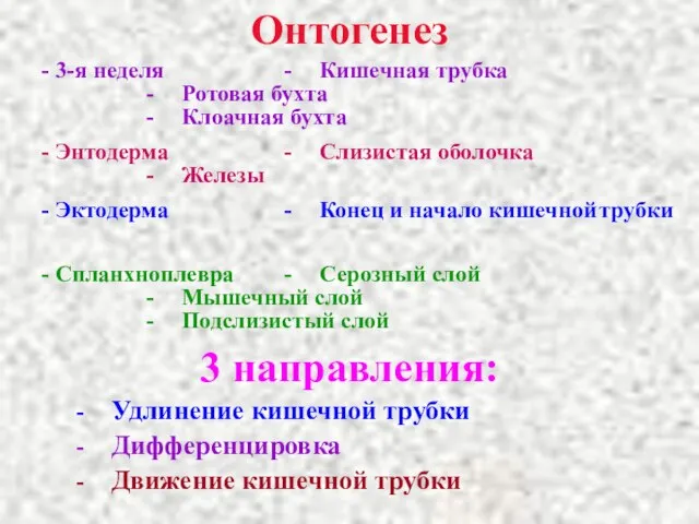 Онтогенез - 3-я неделя - Энтодерма - Ротовая бухта - Клоачная бухта