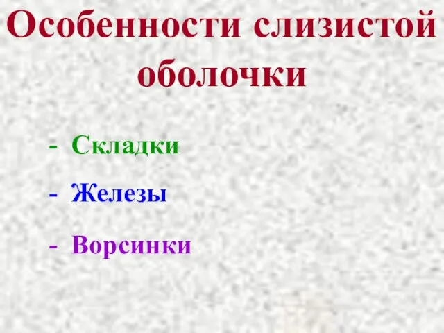 Особенности слизистой оболочки - Складки - Железы - Ворсинки