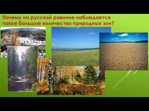Почему на русской равнине наблюдается такое большое количество природных зон?