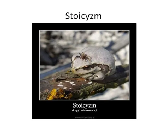 Stoicyzm