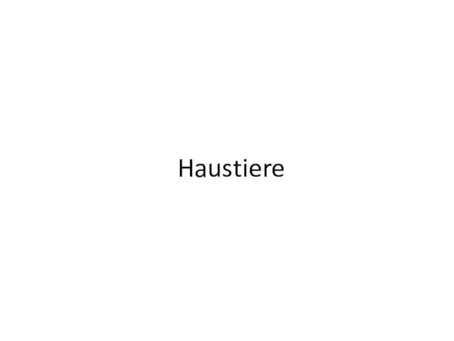 Haustiere