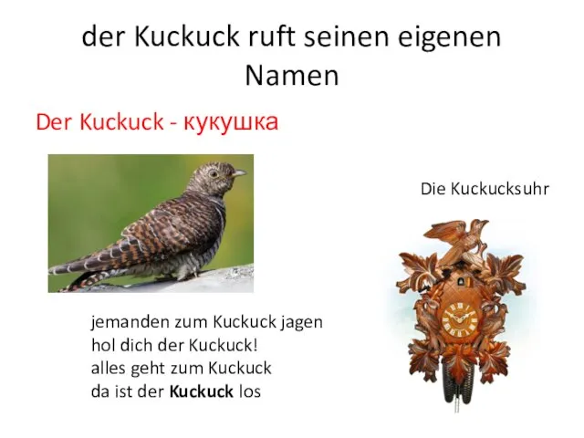 der Kuckuck ruft seinen eigenen Namen Der Kuckuck - кукушка Die Kuckucksuhr