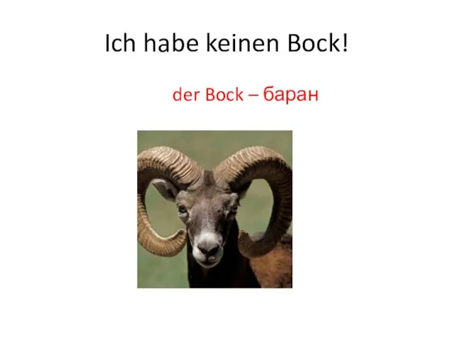 Ich habe keinen Bock! der Bock – баран