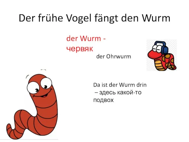 Der frühe Vogel fängt den Wurm der Wurm - червяк der Ohrwurm