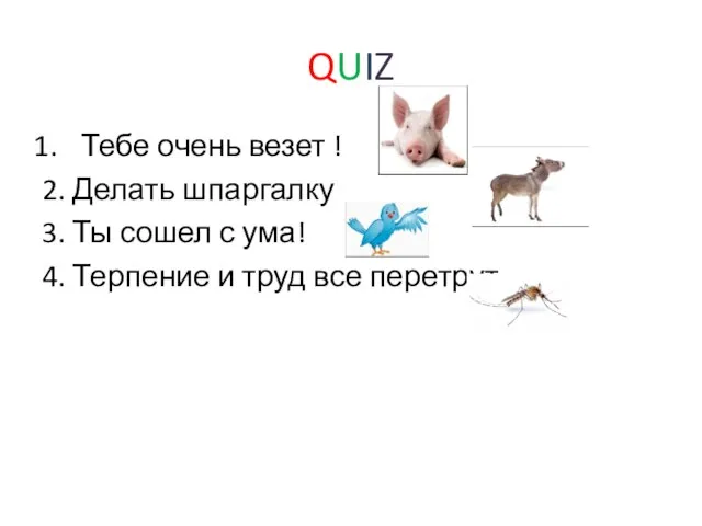 QUIZ Тебе очень везет ! 2. Делать шпаргалку 3. Ты сошел с