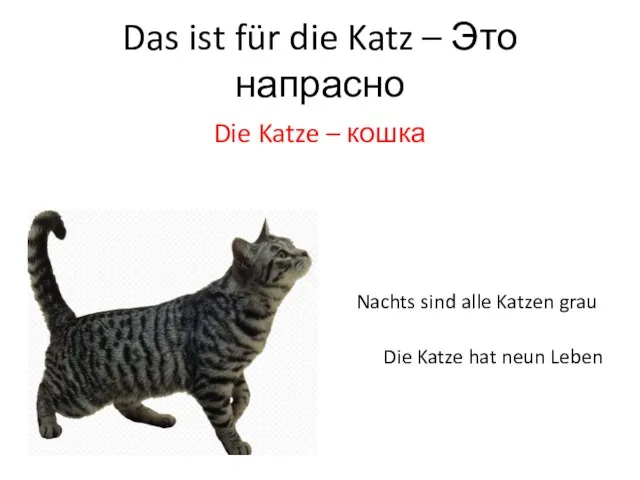 Das ist für die Katz – Это напрасно Die Katze – кошка