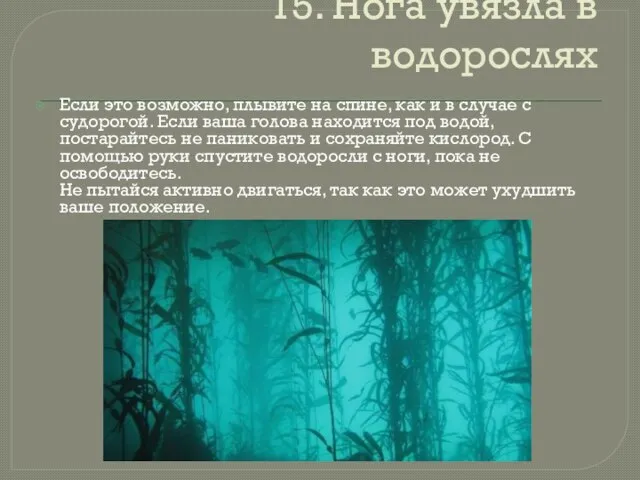 15. Нога увязла в водорослях Если это возможно, плывите на спине, как