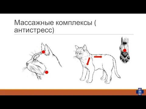 Массажные комплексы ( антистресс)