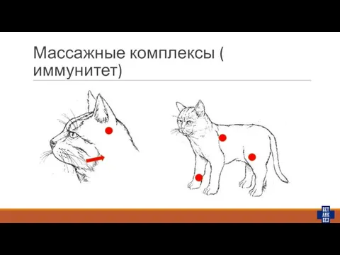 Массажные комплексы ( иммунитет)