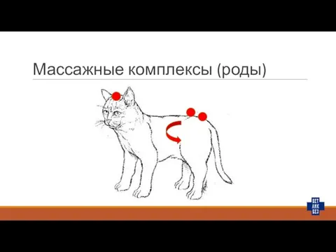 Массажные комплексы (роды)