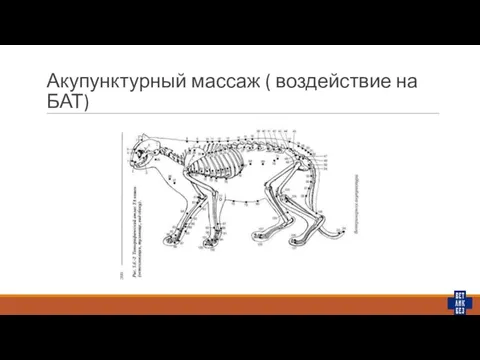 Акупунктурный массаж ( воздействие на БАТ)