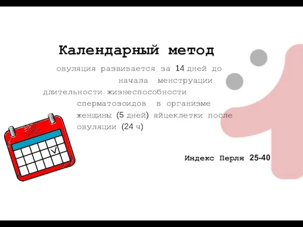 овуляция развивается за 14 дней до начала менструации длительности жизнеспособности сперматозоидов в