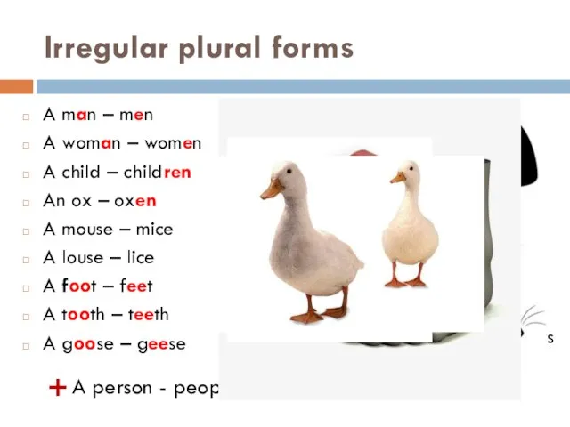 Irregular plural forms A man – men A woman – women A