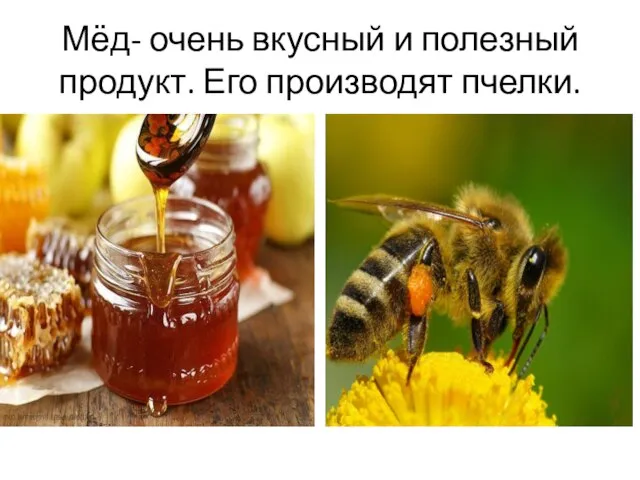 Мёд- очень вкусный и полезный продукт. Его производят пчелки.