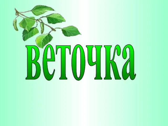 веточка