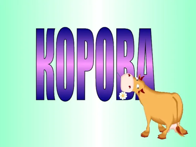 КОРОВА