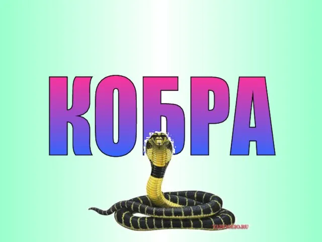 КОБРА