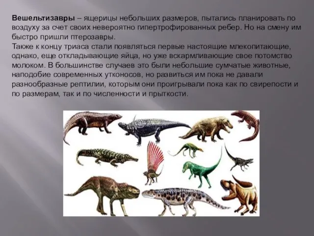 Вешельтизавры – ящерицы небольших размеров, пытались планировать по воздуху за счет своих