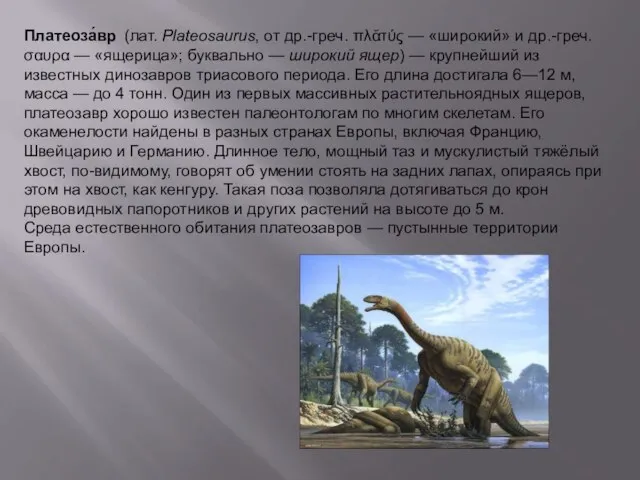 Платеоза́вр (лат. Plateosaurus, от др.-греч. πλᾰτύς — «широкий» и др.-греч. σαυρα —