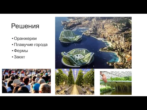 Решения Оранжереи Плавучие города Фермы Закят