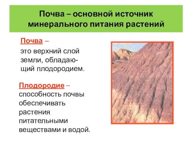 Почва – основной источник минерального питания растений Плодородие – способность почвы обеспечивать