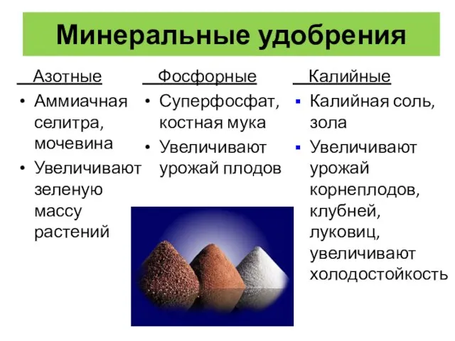 Минеральные удобрения Азотные Аммиачная селитра, мочевина Увеличивают зеленую массу растений Фосфорные Суперфосфат,