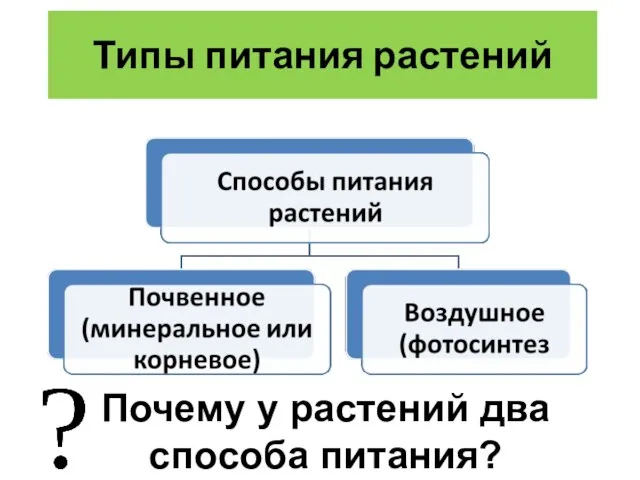 Типы питания растений Почему у растений два способа питания?