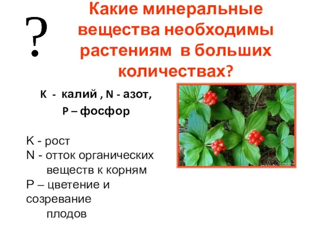 Какие минеральные вещества необходимы растениям в больших количествах? K - калий ,