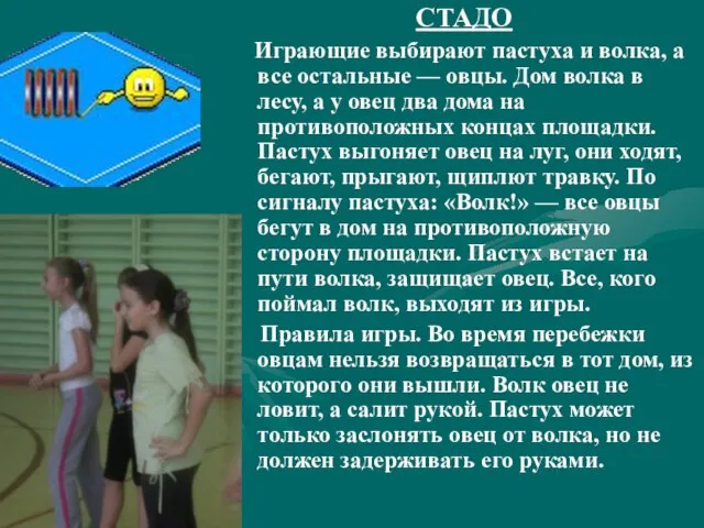 СТАДО Играющие выбирают пастуха и волка, а все остальные — овцы. Дом