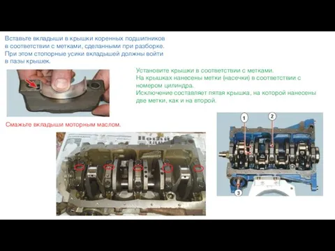 Вставьте вкладыши в крышки коренных подшипников в соответствии с метками, сделанными при
