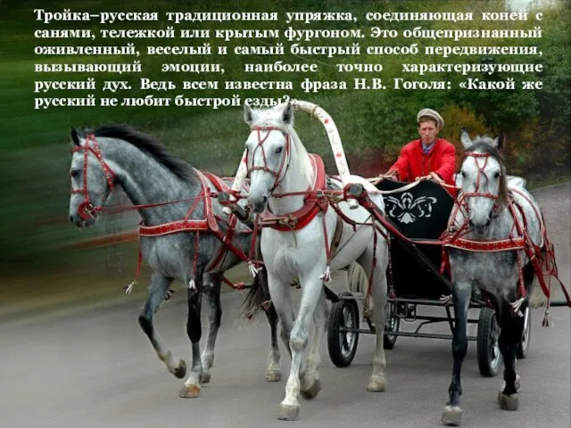 Тройка–русская традиционная упряжка, соединяющая коней с санями, тележкой или крытым фургоном. Это