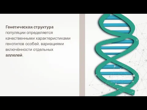 Генетическая структура популяции определяется качественными характеристиками генотипов особей, вариациями включённости отдельных аллелей.