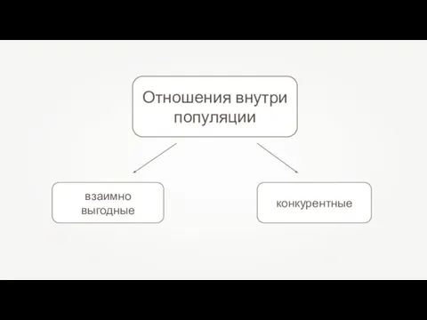 Отношения внутри популяции