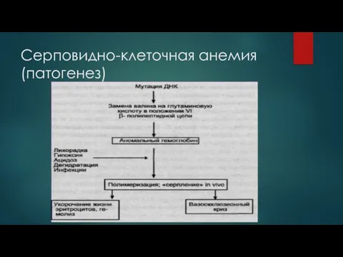 Серповидно-клеточная анемия (патогенез)