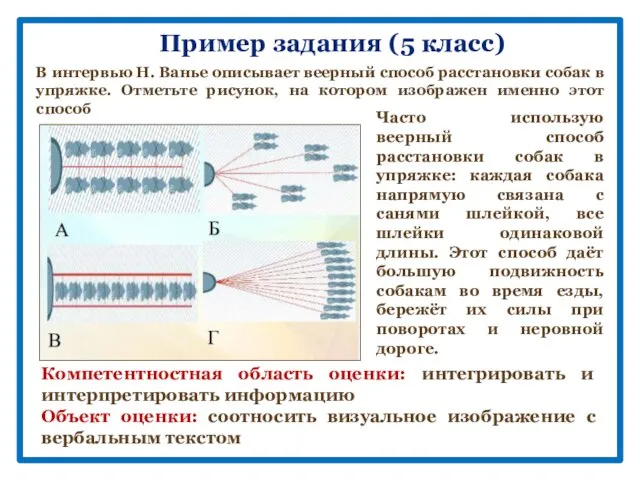 Пример задания (5 класс) В интервью Н. Ванье описывает веерный способ расстановки