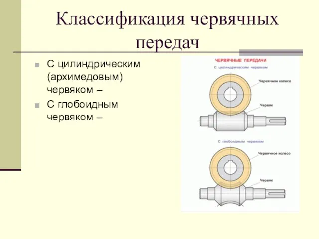 Классификация червячных передач С цилиндрическим (архимедовым) червяком – С глобоидным червяком –