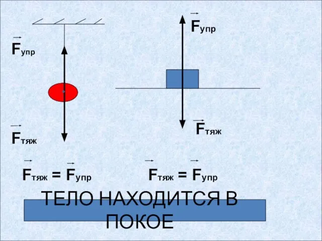 ТЕЛО НАХОДИТСЯ В ПОКОЕ Fтяж Fупр Fтяж = Fупр Fтяж Fупр Fтяж = Fупр